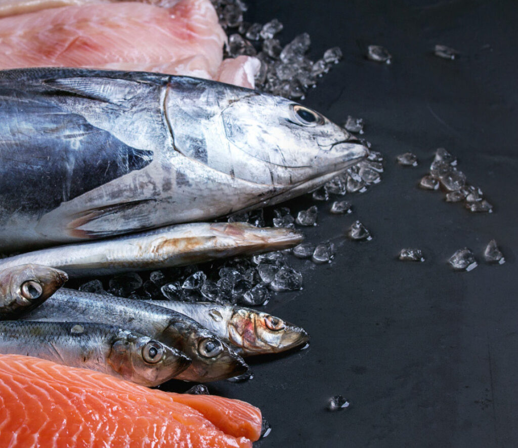 seafood-small